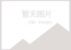 乐都县夏岚水泥有限公司